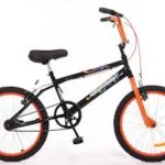 BICICLETA BMX B8336 R20 PINTAD