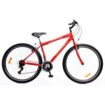 BICICLETA KUWARA B83821 R24 21